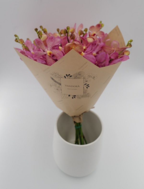 Mokara Pink