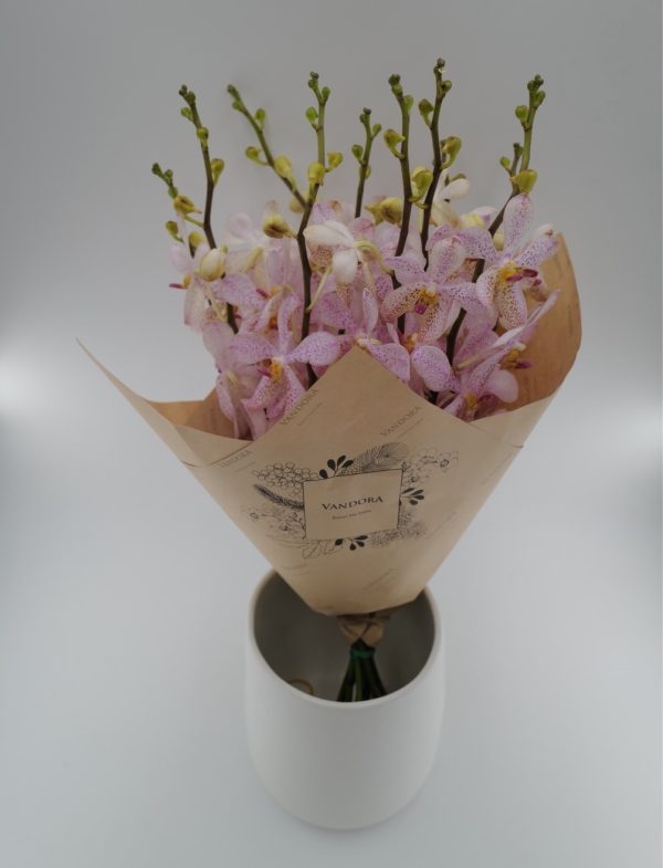Mokara White
